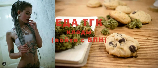 индика Алексин