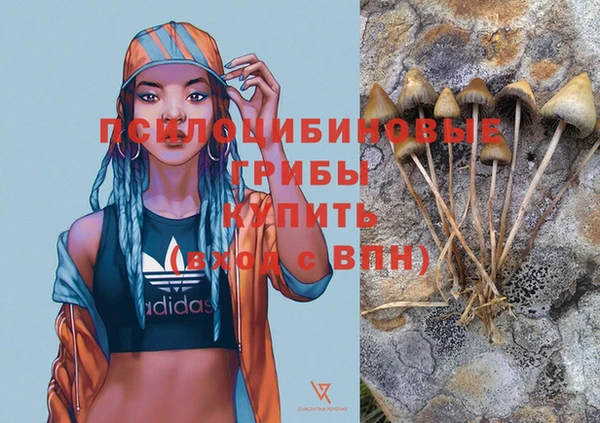 индика Алексин
