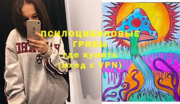 гашик Алзамай