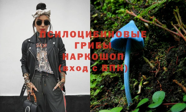 индика Алексин